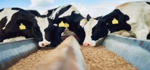 Bienvenue sur notre site web officiel